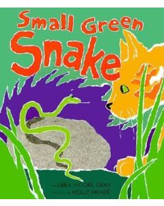 Small Green Snake