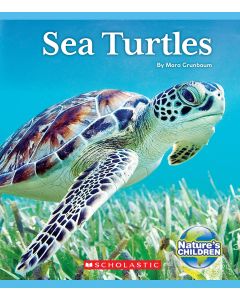 Sea Turtles