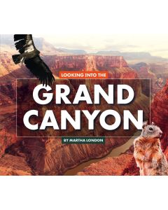 Looking Into the Grand Canyon