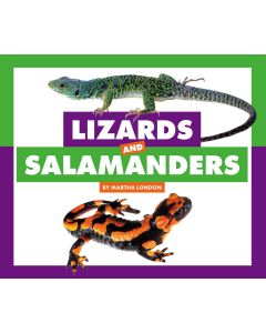Lizards and Salamanders