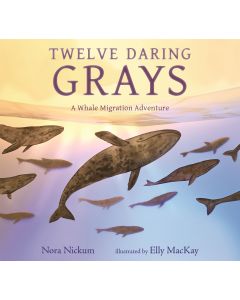 Twelve Daring Grays: A Whale Migration Adventure