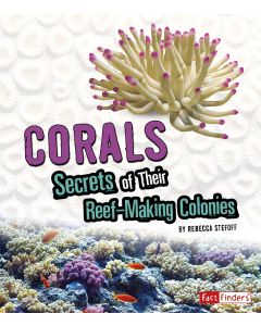 Corals: Secrets of Their Reef-Making Colonies