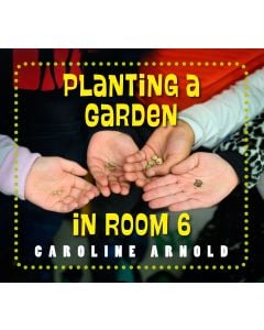 Planting a Garden in Room 6