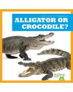 Alligator or Crocodile?