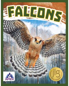 Falcons