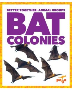 Bat Colonies