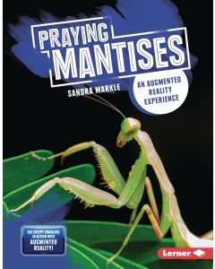 Praying Mantises