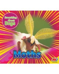 Moths