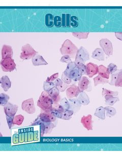 Cells