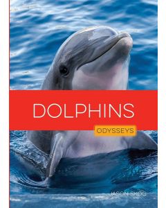 Dolphins