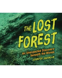 The Lost Forest: An Unexpected Discovery Beneath the Waves