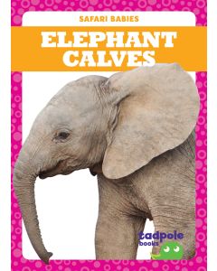 Elephant Calves