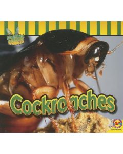 Cockroaches