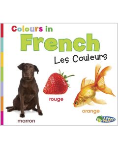 Colors in French: Les Couleurs