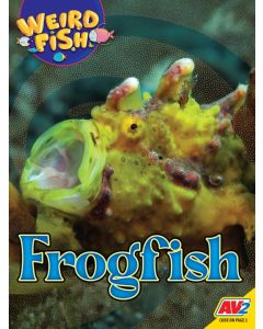 Frogfish