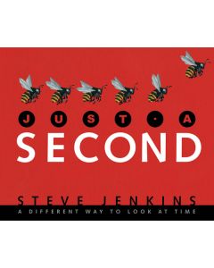 Just a Second: A Different Way to Look at Time