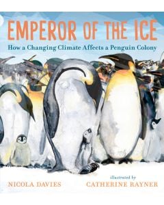 Emperor of the Ice: How a Changing Climate Affects a Penguin Colony