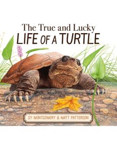 The True and Lucky Life of a Turtle
