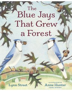 The Blue Jays That Grew a Forest