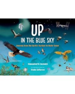 Up in the Blue Sky: Journey from the Earth's Surface to Outer Space