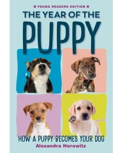 The Year of the Puppy: How Dogs Become Themselves