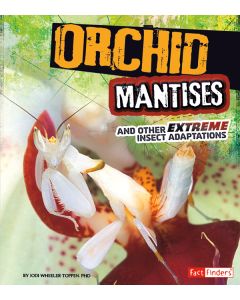 Orchid Mantises and Other Extreme Insect Adaptations