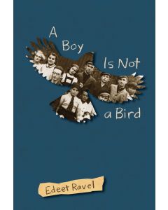 A Boy Is Not a Bird