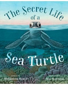The Secret Life of a Sea Turtle