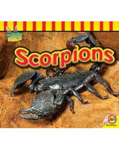 Scorpions