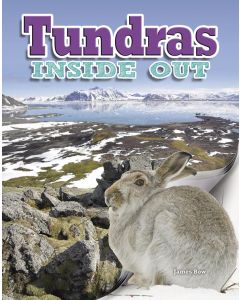 Tundras Inside Out