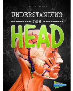 Understanding Our Head
