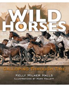 Wild Horses: Galloping Through Time