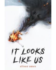 It Looks Like Us