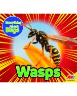 Wasps