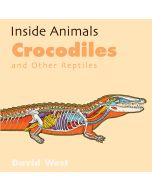 Crocodiles and Other Reptiles