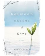 Between Shades of Gray