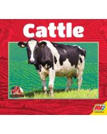 Cattle
