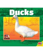 Ducks