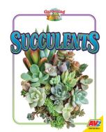 Succulents