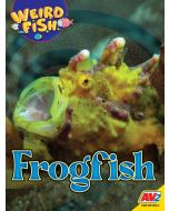 Frogfish